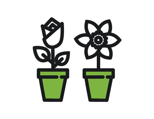 zielone wnętrze i ogrody