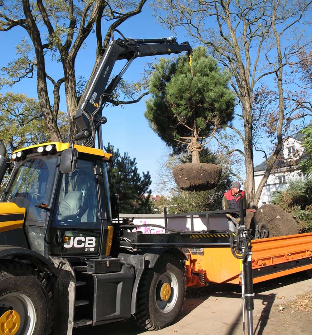 firma realizująca projekt ogrodu