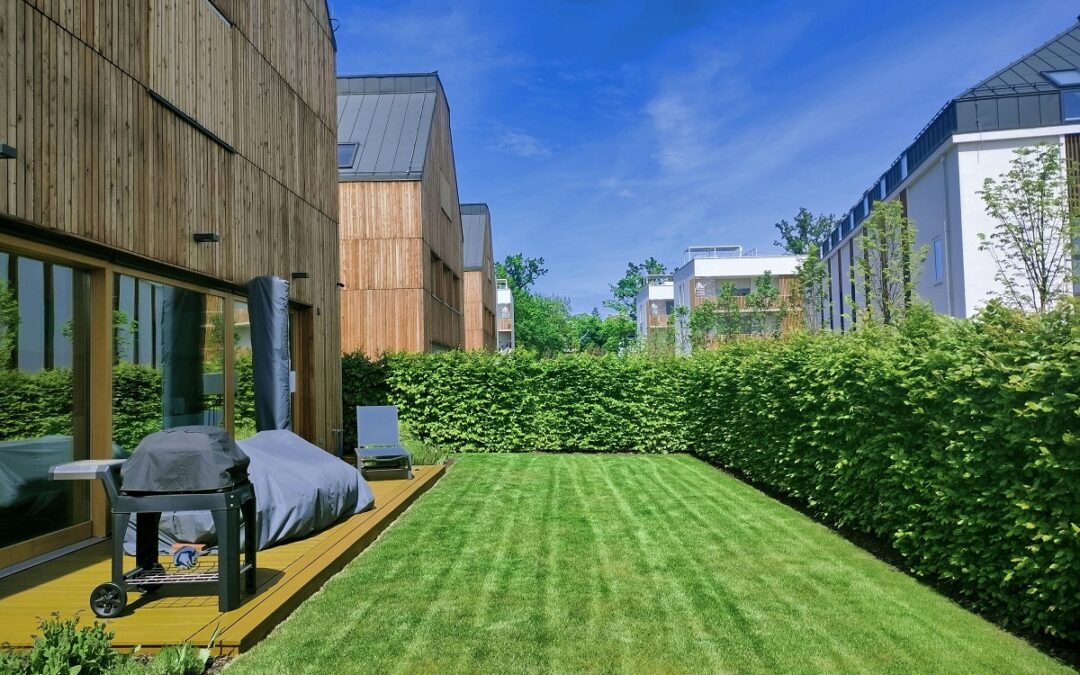 Ogród z gotowym żywoplotem