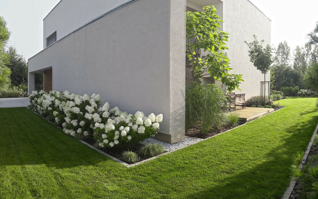 Nowoczesny ogród rodzinny