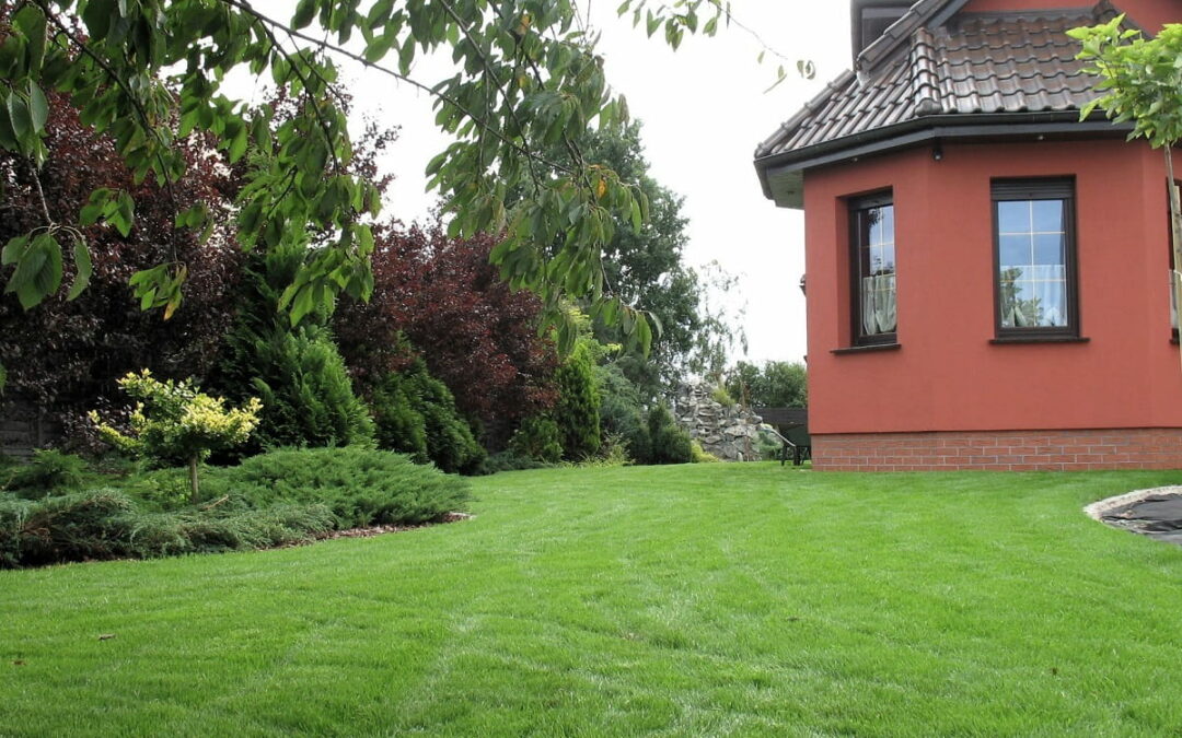 Ogród rezydencjonalny z dużym trawnikiem